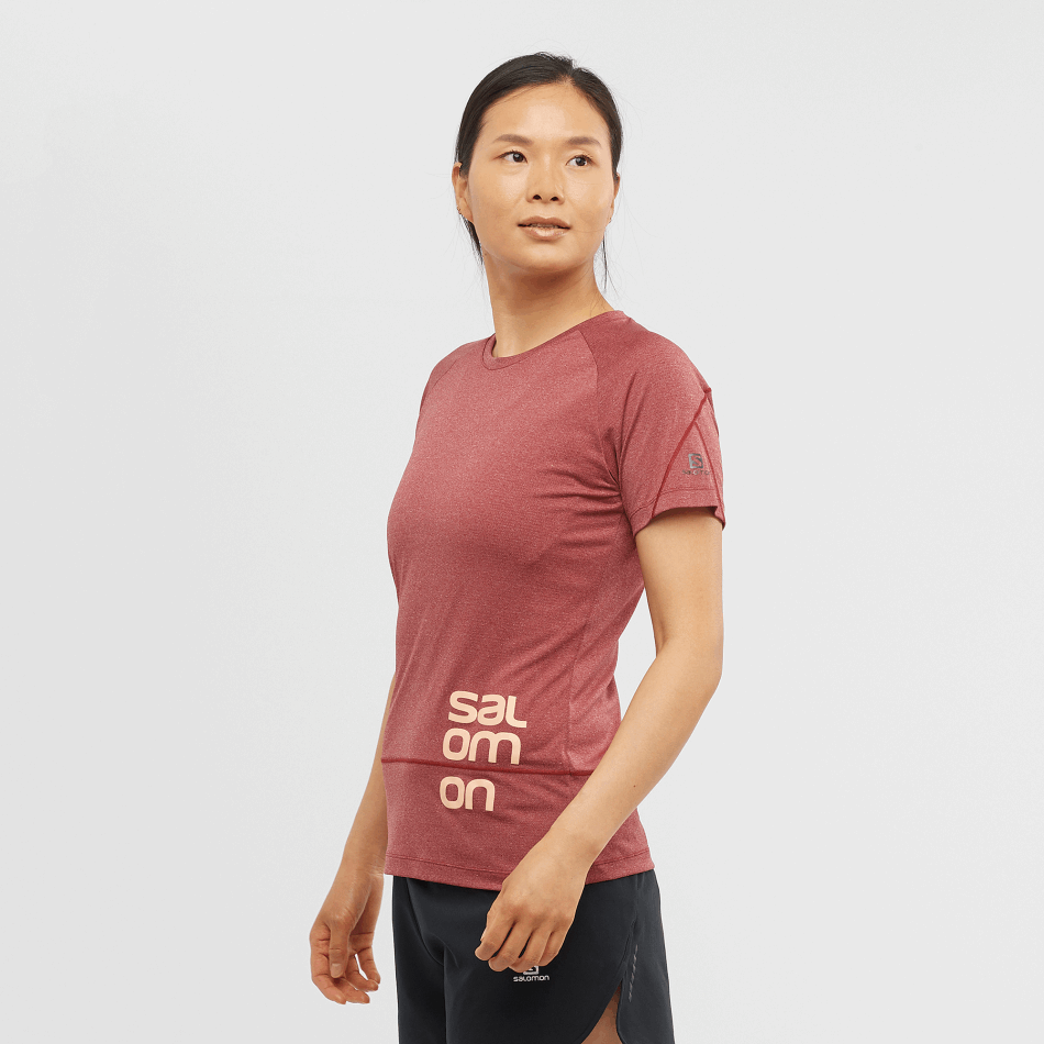 レディース半袖Tシャツ クロスラン グラフィック カベルネヘザー